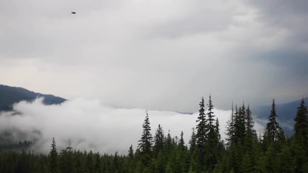 Misty Carpathians Thunderstorm — Stock Video