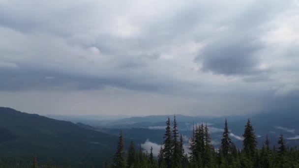 Misty Carpathians Depois Uma Tempestade — Vídeo de Stock