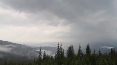 Bir fırtına sonra Misty Carpathians
