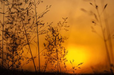 Dağlarda güzel bir gün batımı