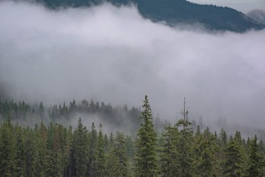 Şafak Karpat Dağları