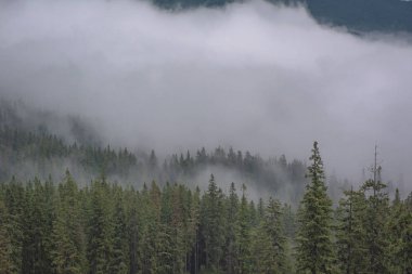 Şafak Karpat Dağları