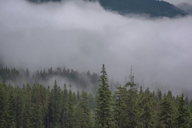 Şafak Karpat Dağları