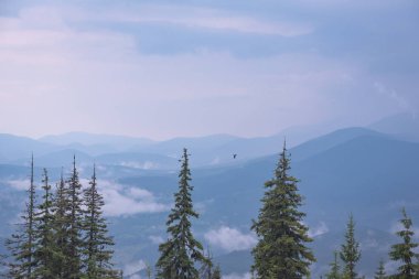 Şafak Karpat Dağları