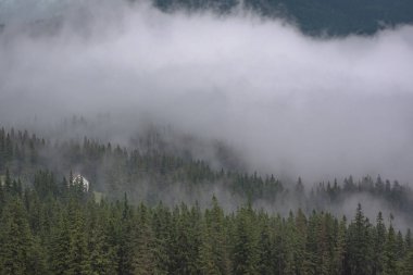 Şafak Karpat Dağları