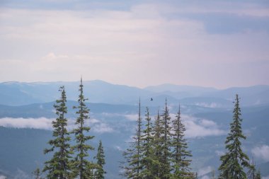 Şafak Karpat Dağları