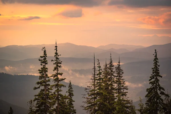 Dawn Carpathian Mountains — Stock Photo, Image