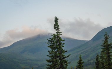 Şafak Karpat Dağları