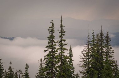 Şafak Karpat Dağları