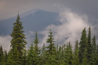 Şafak Karpat Dağları