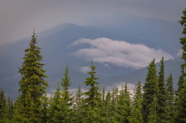 Şafak Karpat Dağları