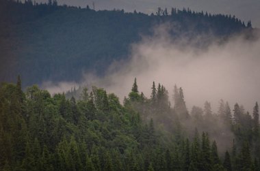 Şafak Karpat Dağları