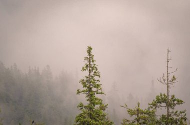 Şafak Karpat Dağları