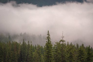 Şafak Karpat Dağları