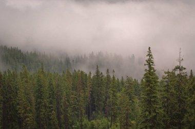 Şafak Karpat Dağları