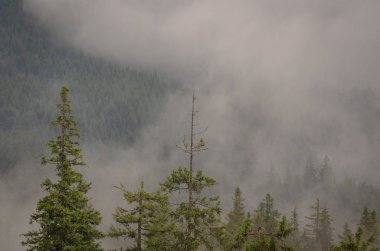 Şafak Karpat Dağları