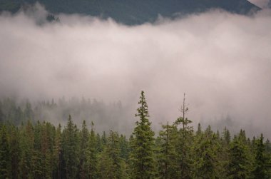 Şafak Karpat Dağları