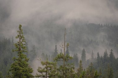 Şafak Karpat Dağları