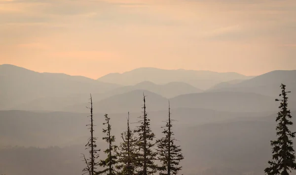 Dawn Carpathian Mountains — Stock Photo, Image