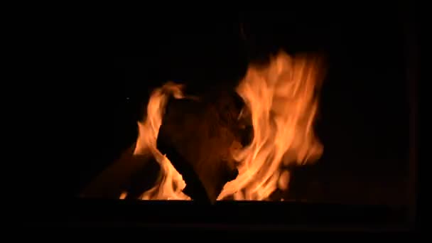 Burning Wood Hearth — Stock Video