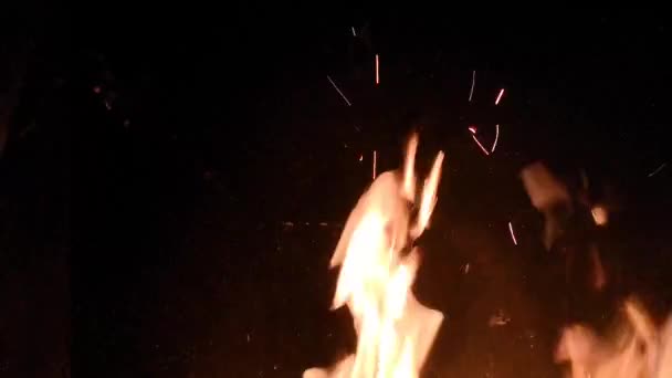 Burning Wood Hearth — Stock Video