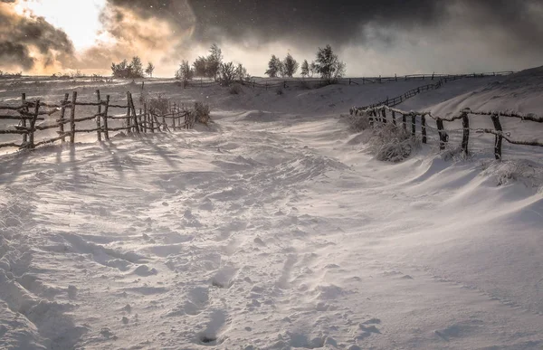 Karpaty Zima Krajobraz — Zdjęcie stockowe