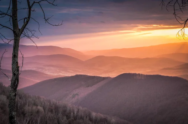 Peisajul Primăverii Munții Carpați — Fotografie, imagine de stoc