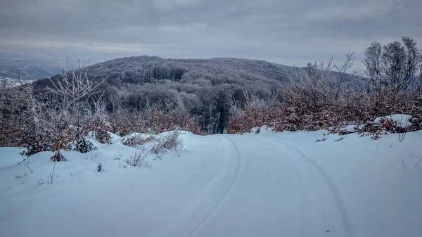 Зимние Карпаты — стоковое фото