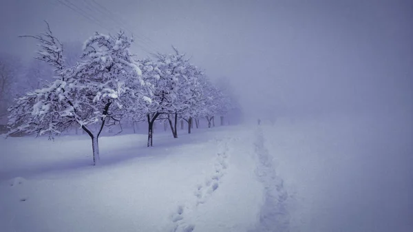 Landscape winter called Photographer