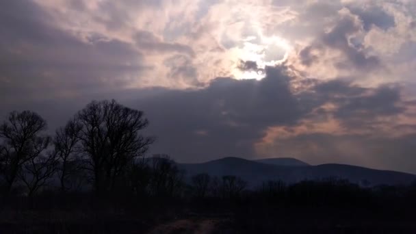 Időkörök Mozgása Tavaszi Felhők Felett Fák — Stock videók