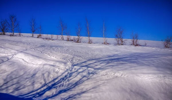 Hiver Carpates Paysage Montagnes — Photo