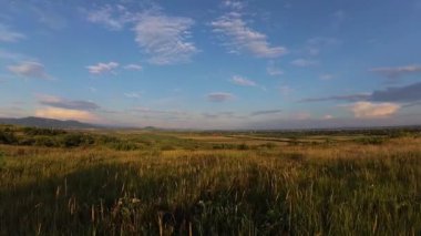 Yaz aylarında Karpat Dağları Timelapse Manzaralar