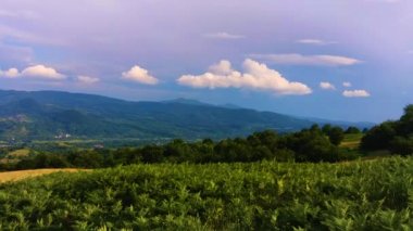 Yaz aylarında Karpat Dağları Timelapse Manzaralar