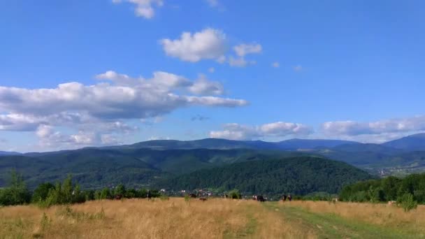 Timelapse Tájak Kárpát Hegység Nyáron — Stock videók