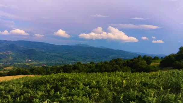 Timelapse Paysages Des Carpates Été — Video