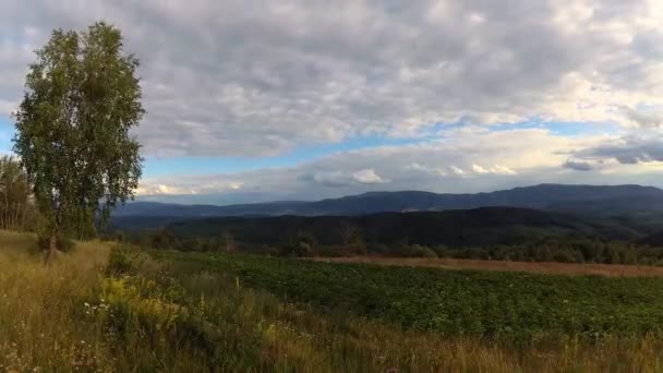 Zeitraffer Landschaften Der Karpaten Sommer — Stockvideo