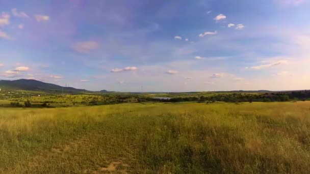 Paisagens Das Montanhas Cárpatas Verão — Vídeo de Stock