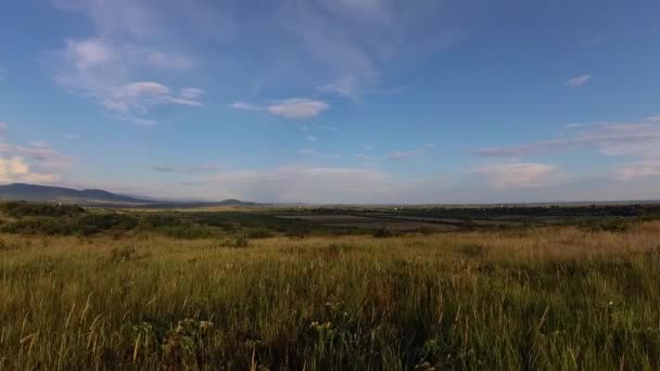 Paisajes Las Montañas Cárpatas Verano — Vídeo de stock