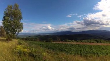 Yaz aylarında Karpat Dağları Timelapse Manzaralar