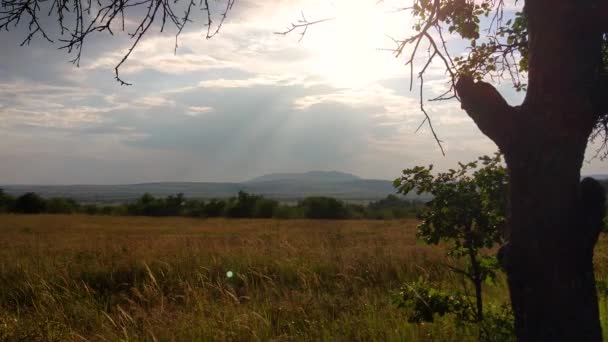 Timelapse Landschappen Van Karpaten Zomer — Stockvideo