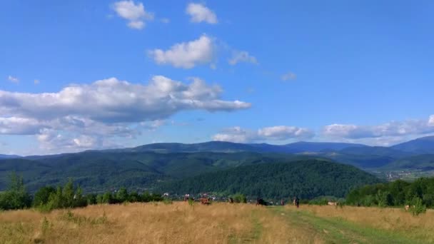 Timelapse Paisagens Das Montanhas Cárpatas Verão — Vídeo de Stock