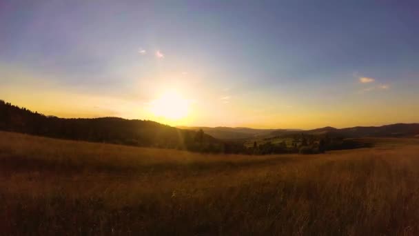 Landscapes Dari Pegunungan Carpathian Musim Panas — Stok Video