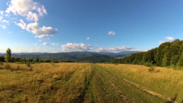 Тимчасом Пейзажі Карпатських Гір Влітку — стокове відео