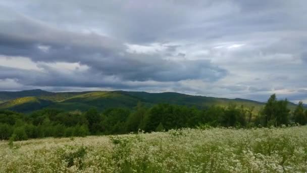 Léto Časovou Krajinou Karpatských Horách — Stock video