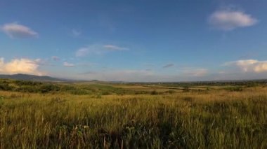 Yazın Karpat Dağları 'nın manzaraları