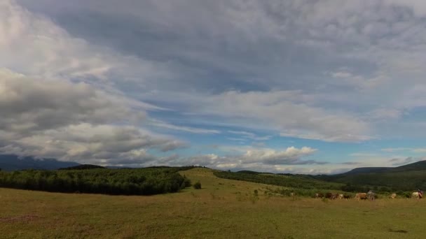 Timelapse Paisajes Las Montañas Cárpatas Verano — Vídeo de stock