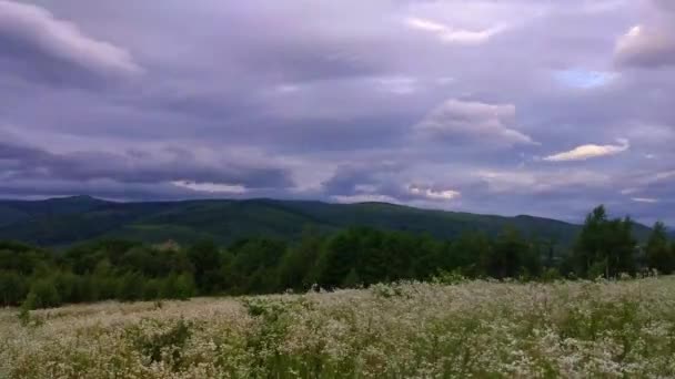 Тимчасом Пейзажі Карпатських Гір Влітку — стокове відео