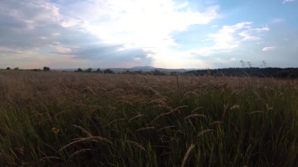 Timelapse Paysages Des Carpates Été — Video