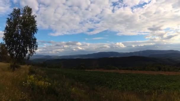 夏のカルパチア山脈のタイムラプス風景 — ストック動画