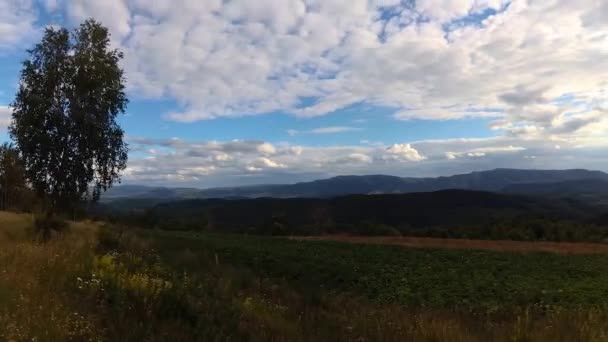 Timelapse Paisajes Las Montañas Cárpatas Verano — Vídeo de stock